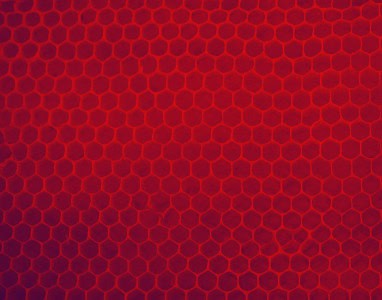Institucional monitoreo banner backdrop (382 x 300 px)
