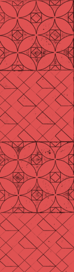 RJ-Informe2025-fotos-outlines