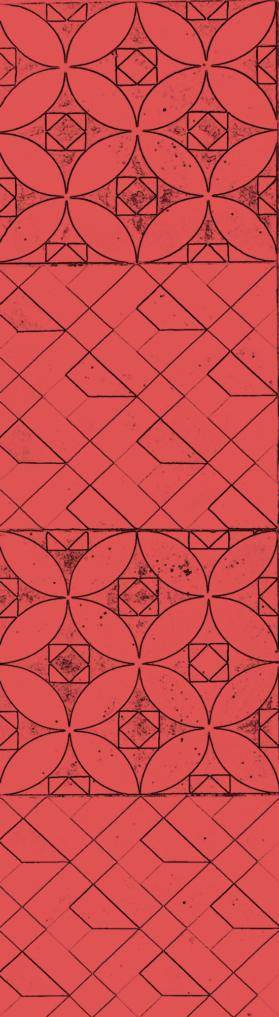 RJ-Informe2025-fotos-outlines